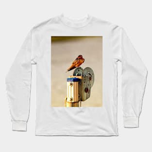 Red-Breasted Swallow Long Sleeve T-Shirt